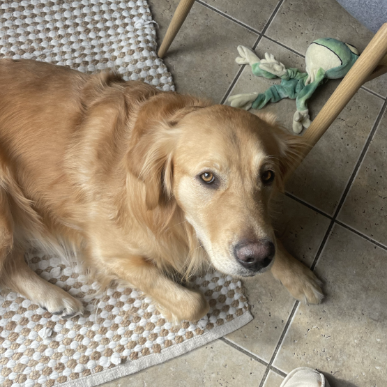 Milo